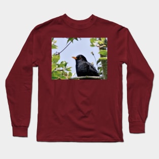 Merle - blackbird   03 (c)(t) by Olao-Olavia / Okaio Créations panasonic fz 200 (1200 mm) mai 2013 Long Sleeve T-Shirt